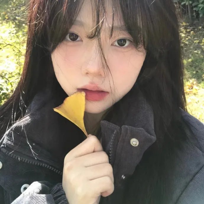 后宫之乌